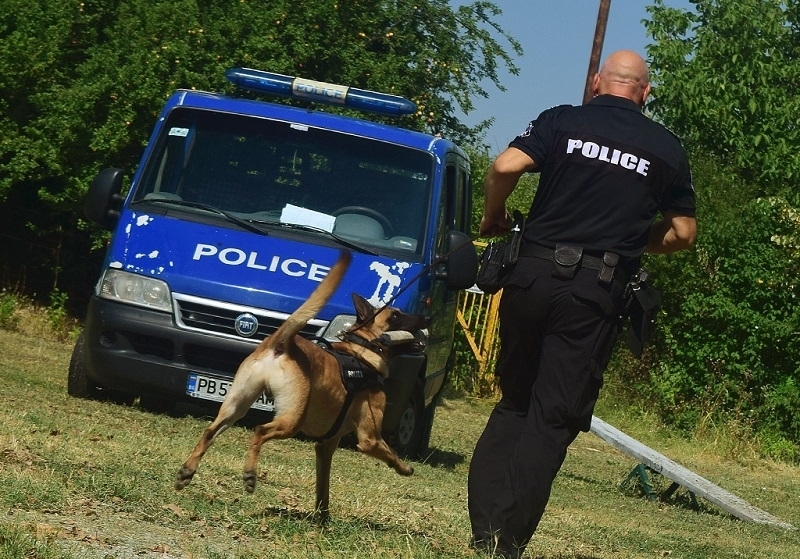 Близките на изчезнала жена от Монтана разлепиха листовки из целия