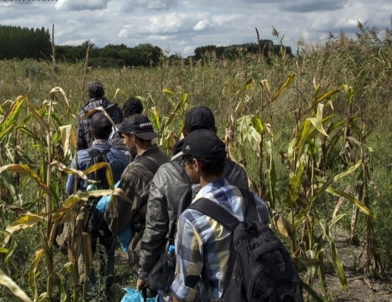 10 мигранти повечето от Ирак са били открити вчера на
