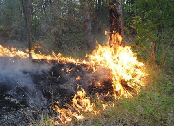 Пожар е горял тази нощ между монтанските села Громшин и