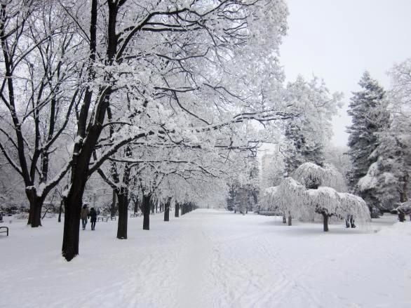 Днес ще продължи да вали сняг, температурите ще са между -14° и - 9°
