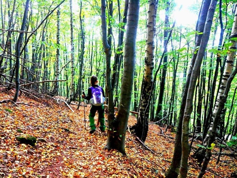 Световният ден на туризма се чества ежегодно на 27 септември
