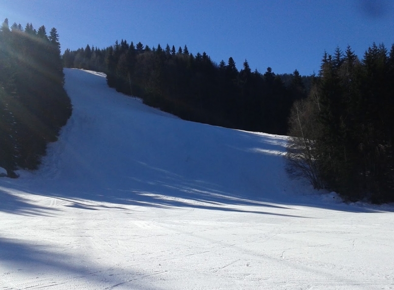 Експертният екологичен съвет при РИОСВ Монтана ще обсъди доклада