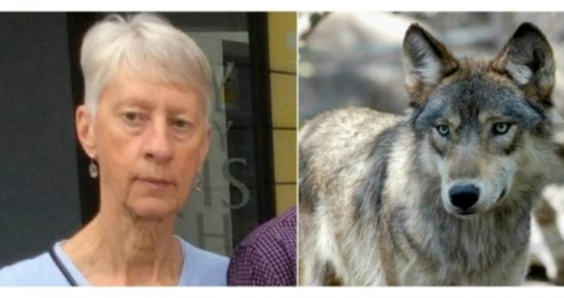 Ужас предизвикват първите заключения на лекарите от аутопсията на 63