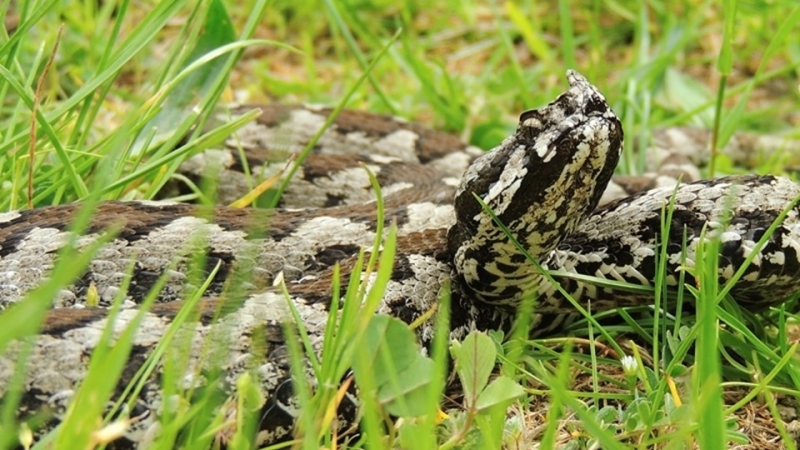 40 годишна жена от Благоевград пък е приета завчера вечерта