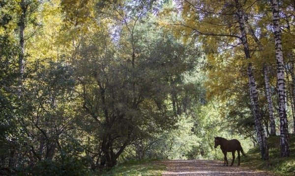 В сряда и четвъртък през следващата седмица ще има валежи