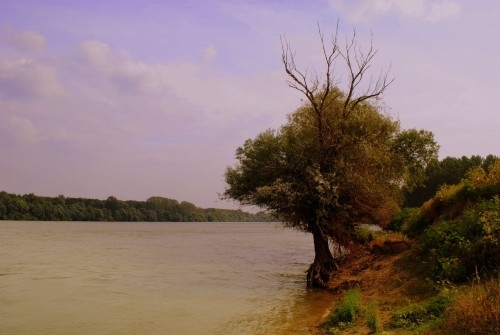 Нивото на река Дунав се повиши със 73 см при
