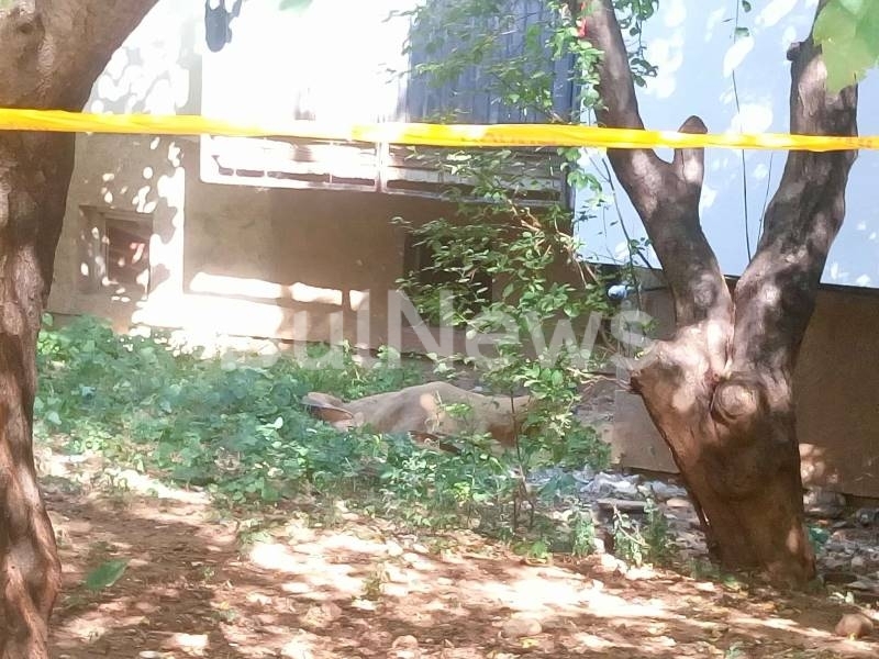 Не са открити следи от насилие по тялото на 66 годишната