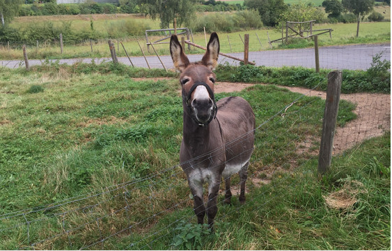 Мъжът с луксозното возило ще получи обезщетение от 5800 евро