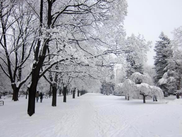 Днес ще продължи да вали сняг, температурите ще са между -14° и - 9°