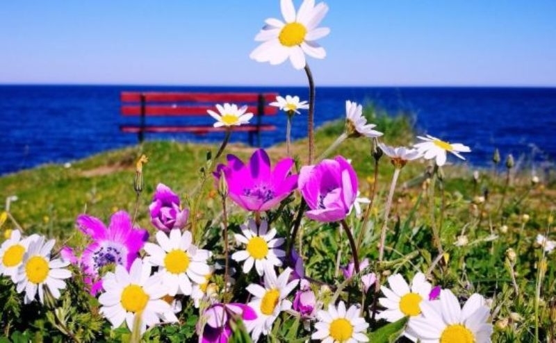 Днес ще бъде предимно слънчево но след обяд и вечерта