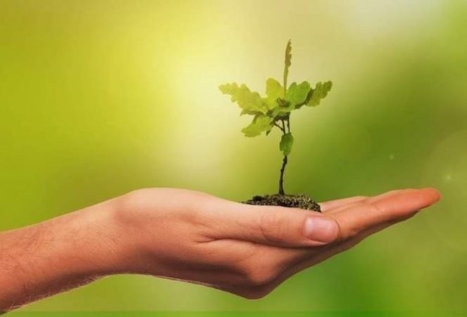 По повод Международния ден на Земята International Mother Earth Day