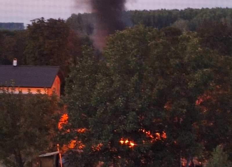 Жители на Козлодуй са подложени на ежедневен тормоз от съседите