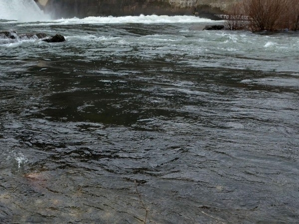 Тяло на възрастен мъже бе извадено от езеро край Шумен