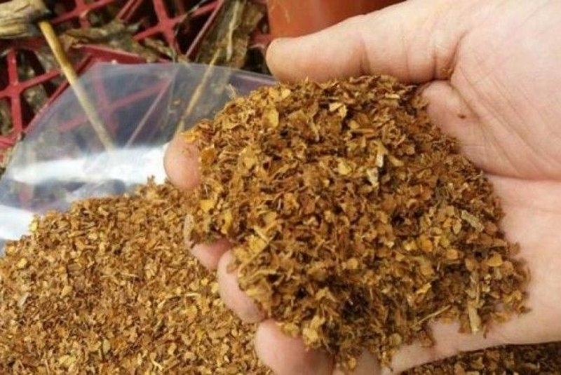 Намериха незаконен тютюн във врачанско село съобщиха от полицията във