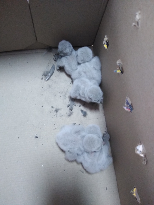 Експерти на РИОСВ – Враца извършиха незабавна проверка по постъпил