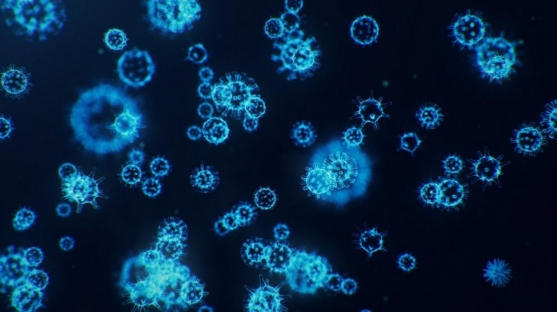 103 души се лекуват от коронавирусна инфекция в трите болници