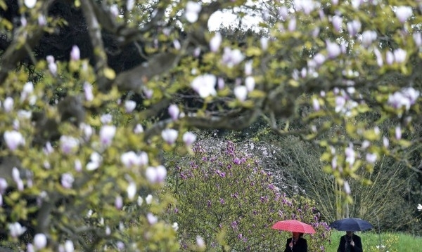 Астрономическата пролет настъпва днес у нас в 23 часа и