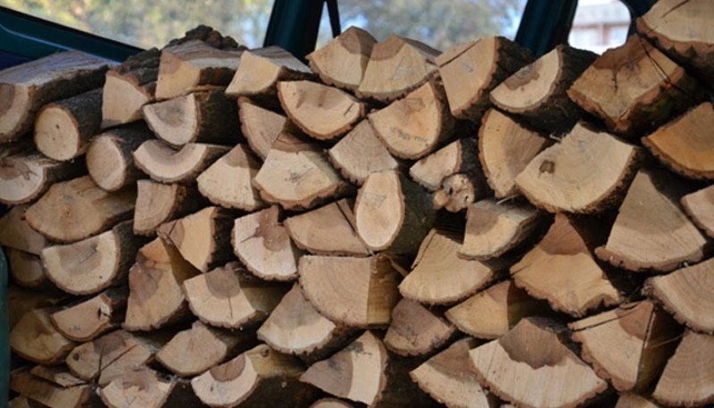 Полицаи и горски намериха незаконни дърва в частен имот във