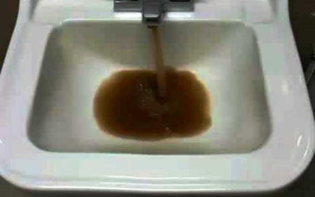 За изключителна отврат са сигнализирали бдителни жители на Враца в