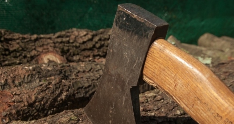 Около 10 55 часа на 26 септември жителка на Етрополе сигнализирала