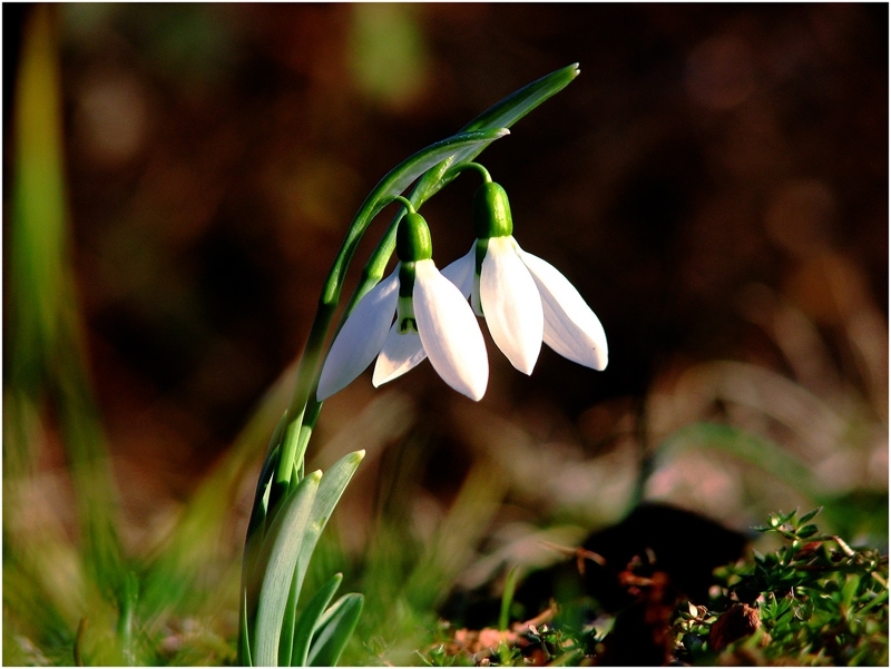 След обяд ще бъде предимно слънчево и сравнително топло Ще