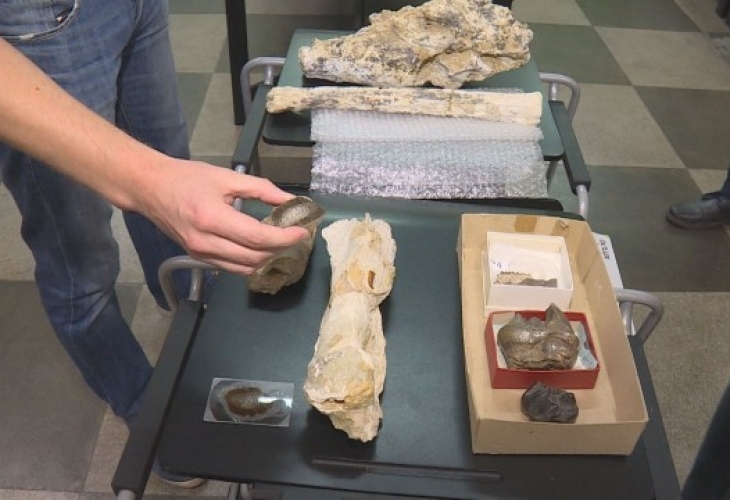 В България са се разхождали динозаври Това твърдят учените от