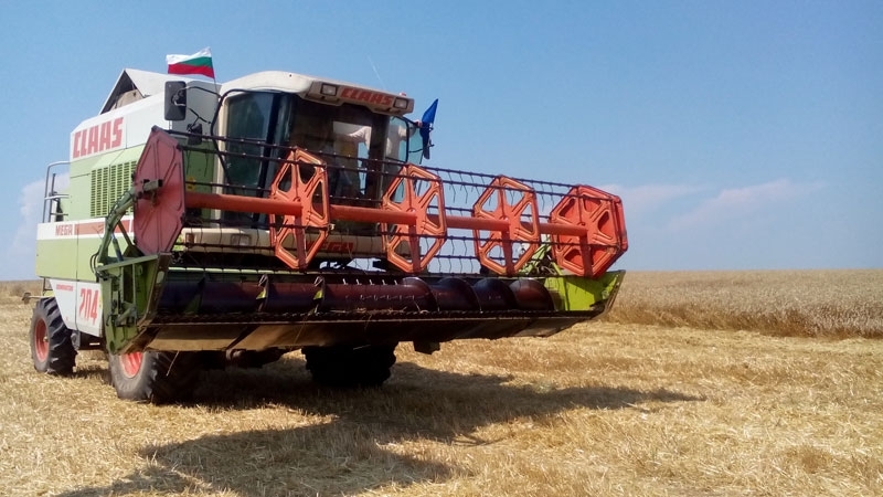 В област Враца започна прибирането на реколтата от ечемик съобщиха