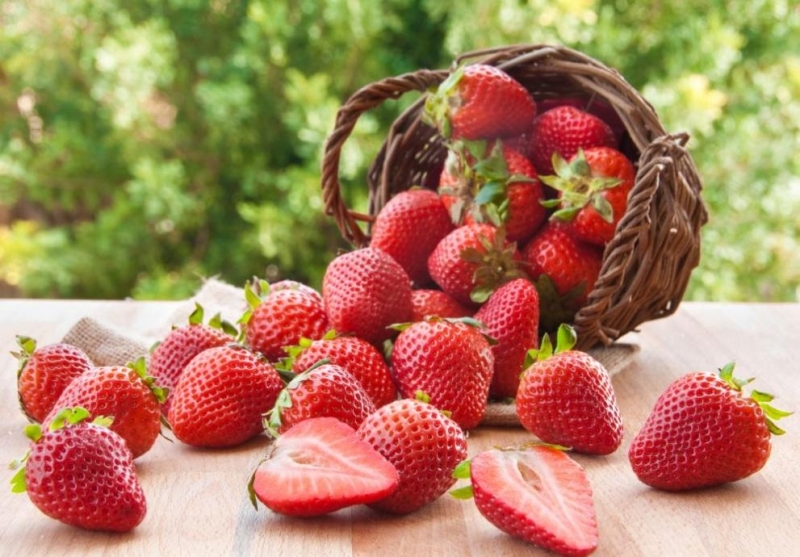 Освен много вкусни и сладки ягодите са и много полезни