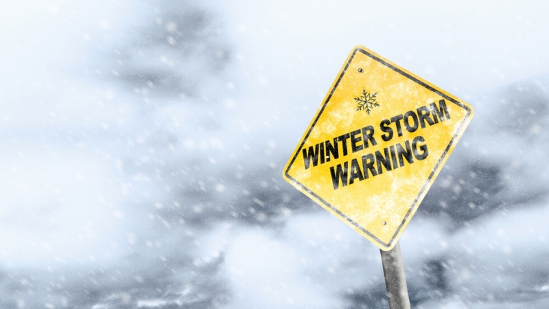 В Нидерландия голяма снежна буря доведе до хаос в железопътния