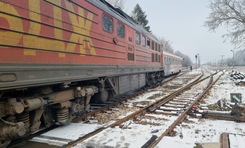 Влак дерайлира край Добрич /снимки/