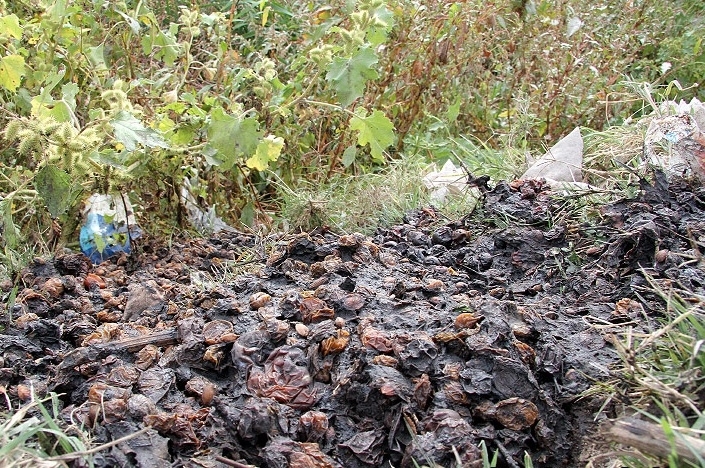 Музовири натопиха казанджии че замърсяват река във Врачанско с джибри