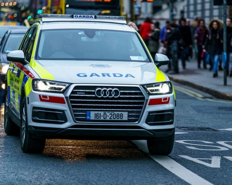Полицията в Дъблин разследва за брутално убийство след като в