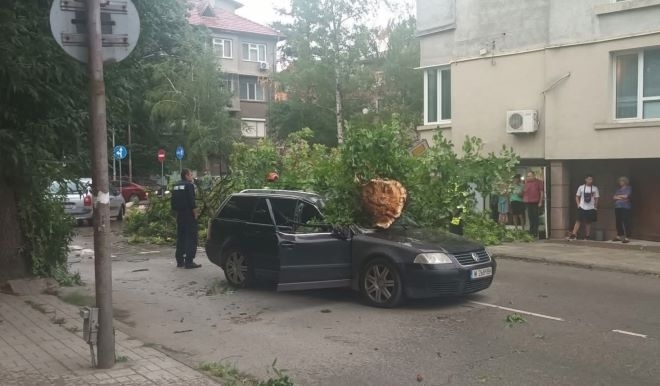 Мощна буря удари Монтана: Множество сигнали за нанесени щети, дърво затисна кола с две момчета в нея /снимки+видео/
