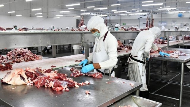 Българи работят при нечовешки условия в кланица в Германия