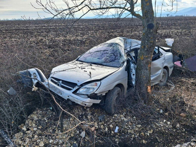 Шофьор загина в адска катастрофа в Монтанско научи агенция BulNews