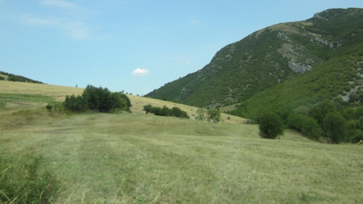 Ловно рибарско сдружение Миджур в Чупрене пусна 75 кеклика в землището на видинското село