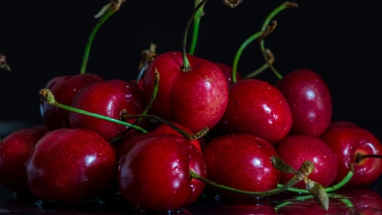 Селскостопанските производители на череши излизат на протест предаде Нова Те