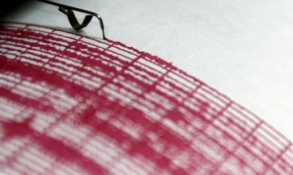 Земетресение с магнитуд от 4 9 по Рихтер е било регистрирано