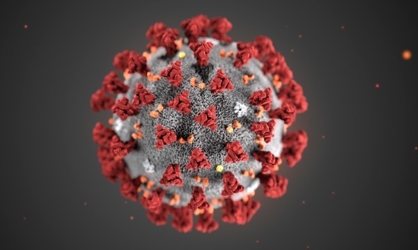 Унгария потвърди трети случай на зараза с новия коронавирус, предаде