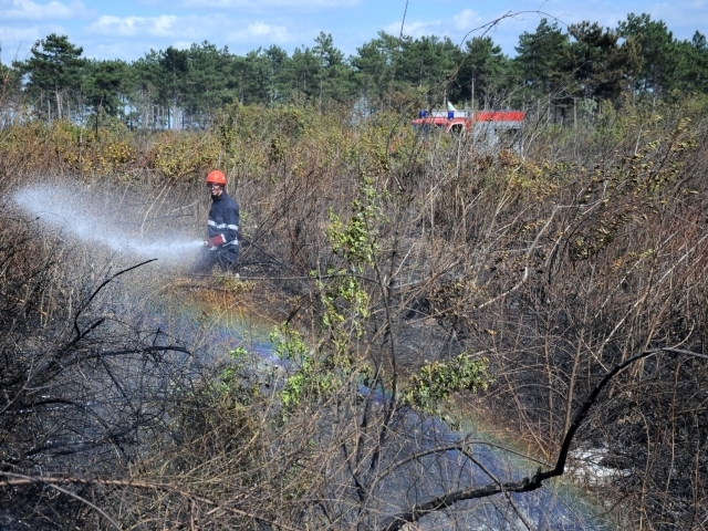 Огнеборци са гасили 660 декара сухи треви и храсти в