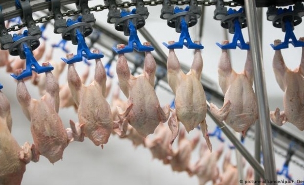 Птицекланица на концерна Вийзенхоф в германската провинция Долна Саксония е