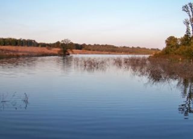 Фирма от Монтана ще отглежда риба в язовир Ягодник край