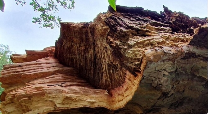 Снощната буря нанесе щети и в Перник Освен наводнените от