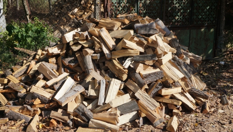 Намериха незаконни дърва в двор в Козлодуй, съобщиха от полицията