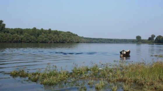 С М се е признал за виновен за смъртта на шестима