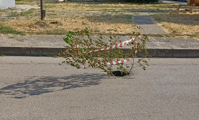 Нова дупка зейна във Видин научи агенция BulNews Траповете на