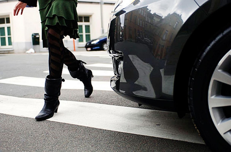 От началото на 2017 г на територията на Видинска област