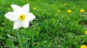 През деня ще бъде предимно слънчево с разкъсана висока облачност