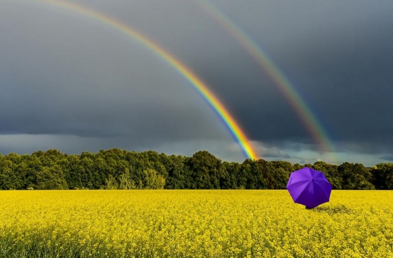 В петък на много места ще се развива купеста и