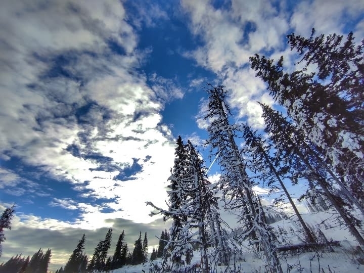Днес ще бъде предимно облачно и ветровито На много места